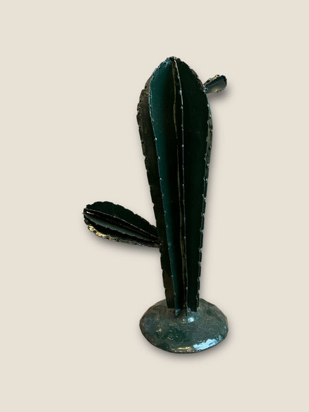 Cactus de Hierro