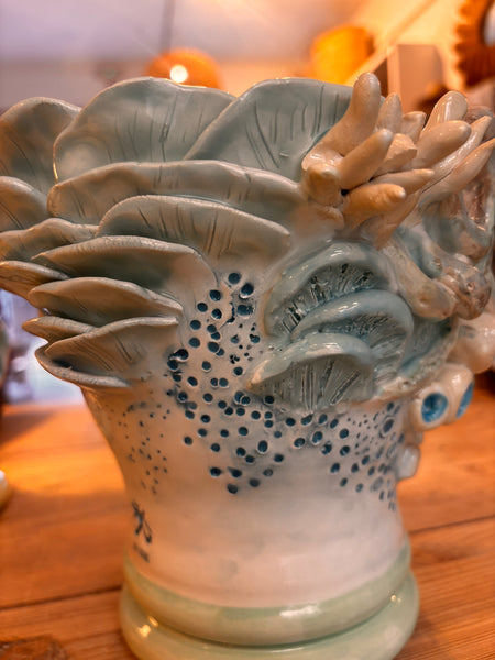 Mr Coral Reef