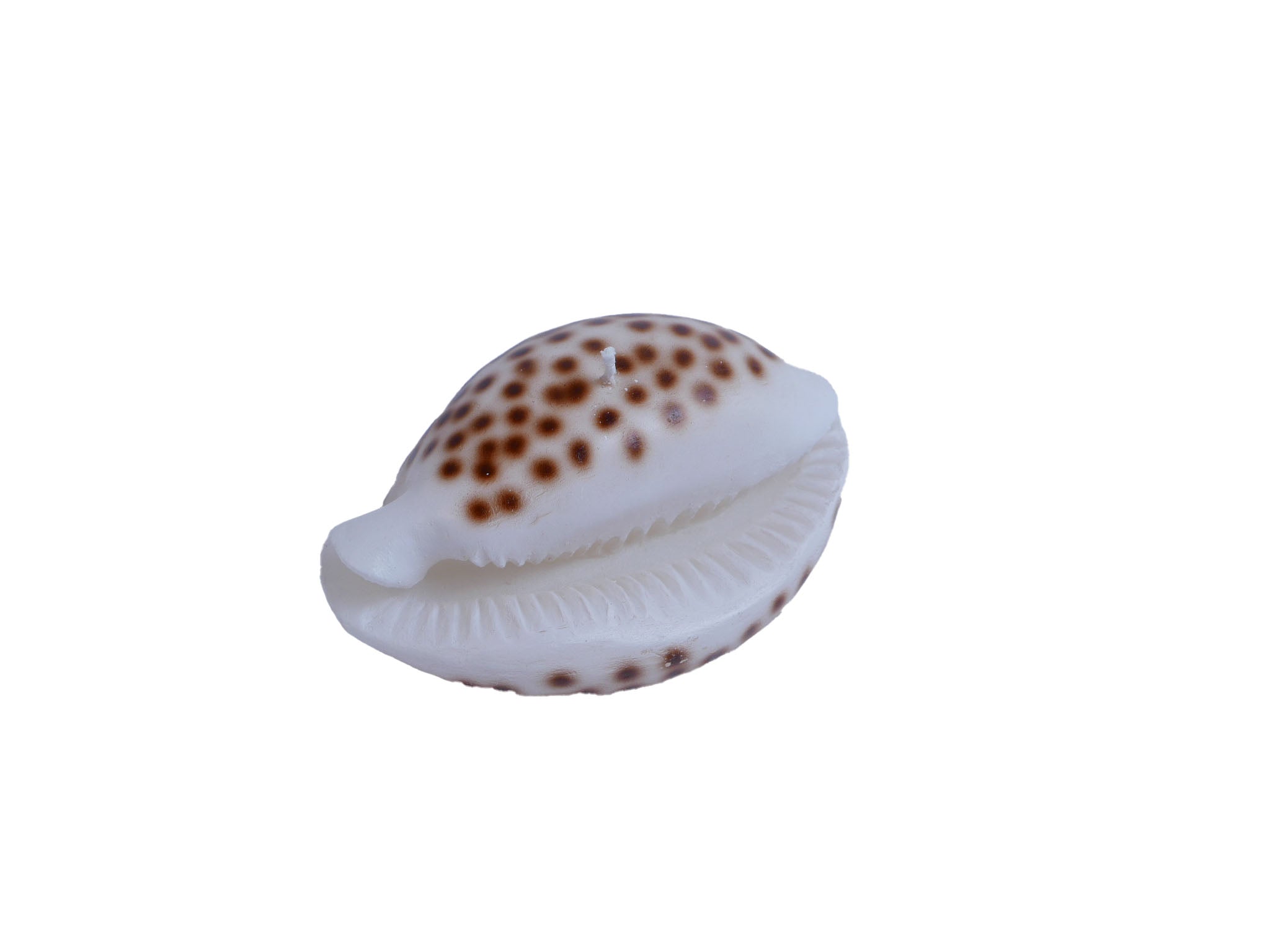 Caracol Baleares