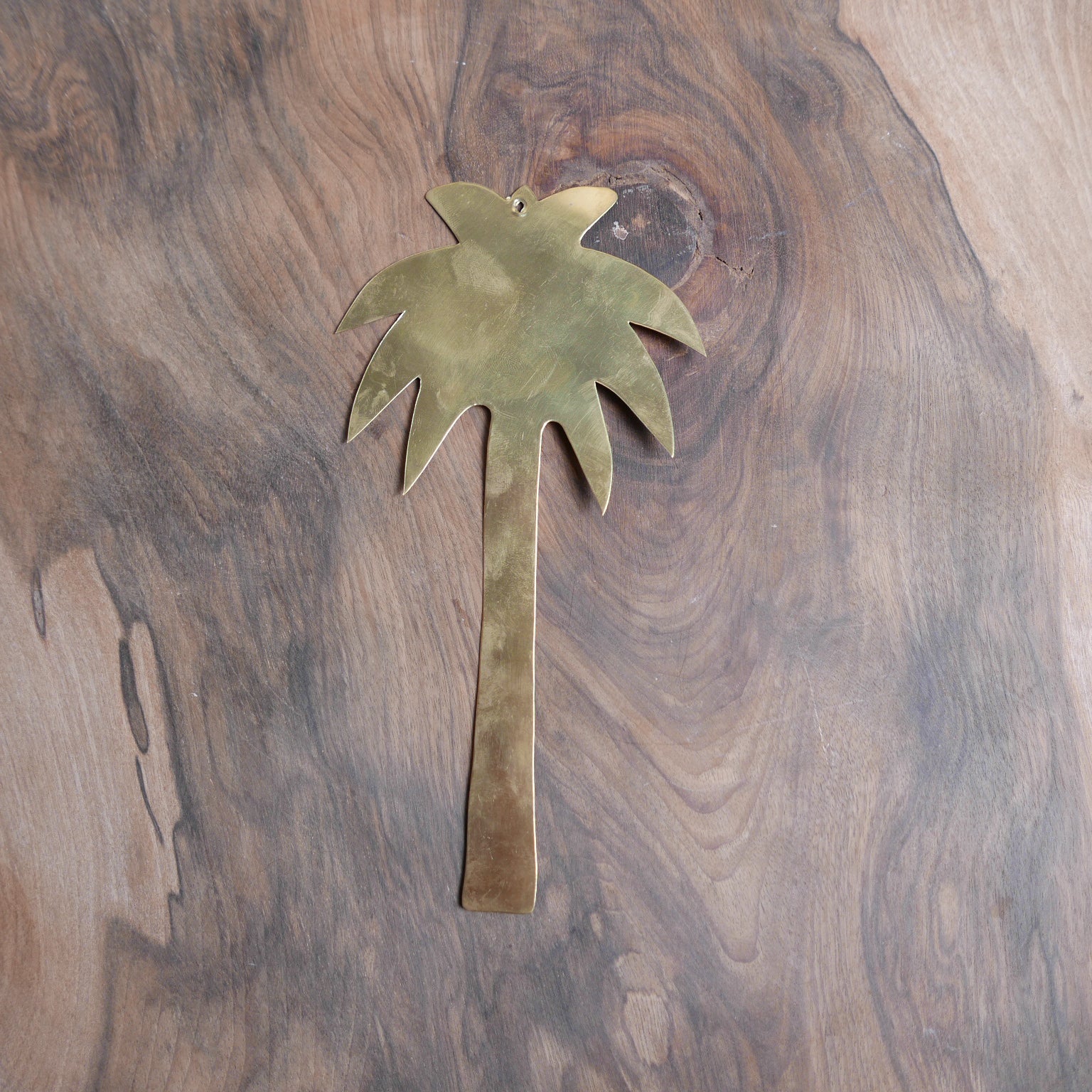 Palmera